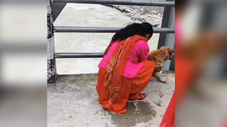 जिउँदो कुकुर नदीमा फालेको भिडियो भाइरल, महिला खोज्दै प्रहरी